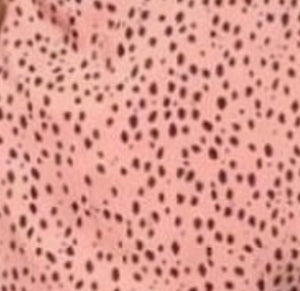 Tela Polyester dalmatas