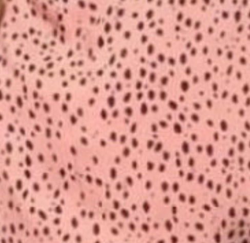 Tela Polyester dalmatas